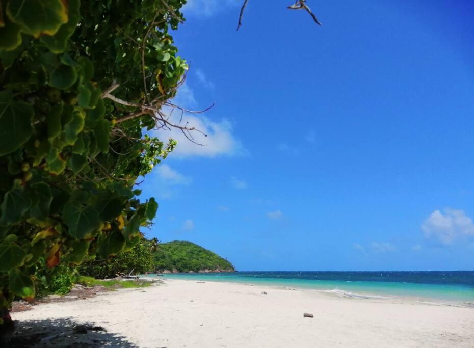 Mi Hermosa - Casa Islena A 70 Metros De La Playa Archibolds Экстерьер фото